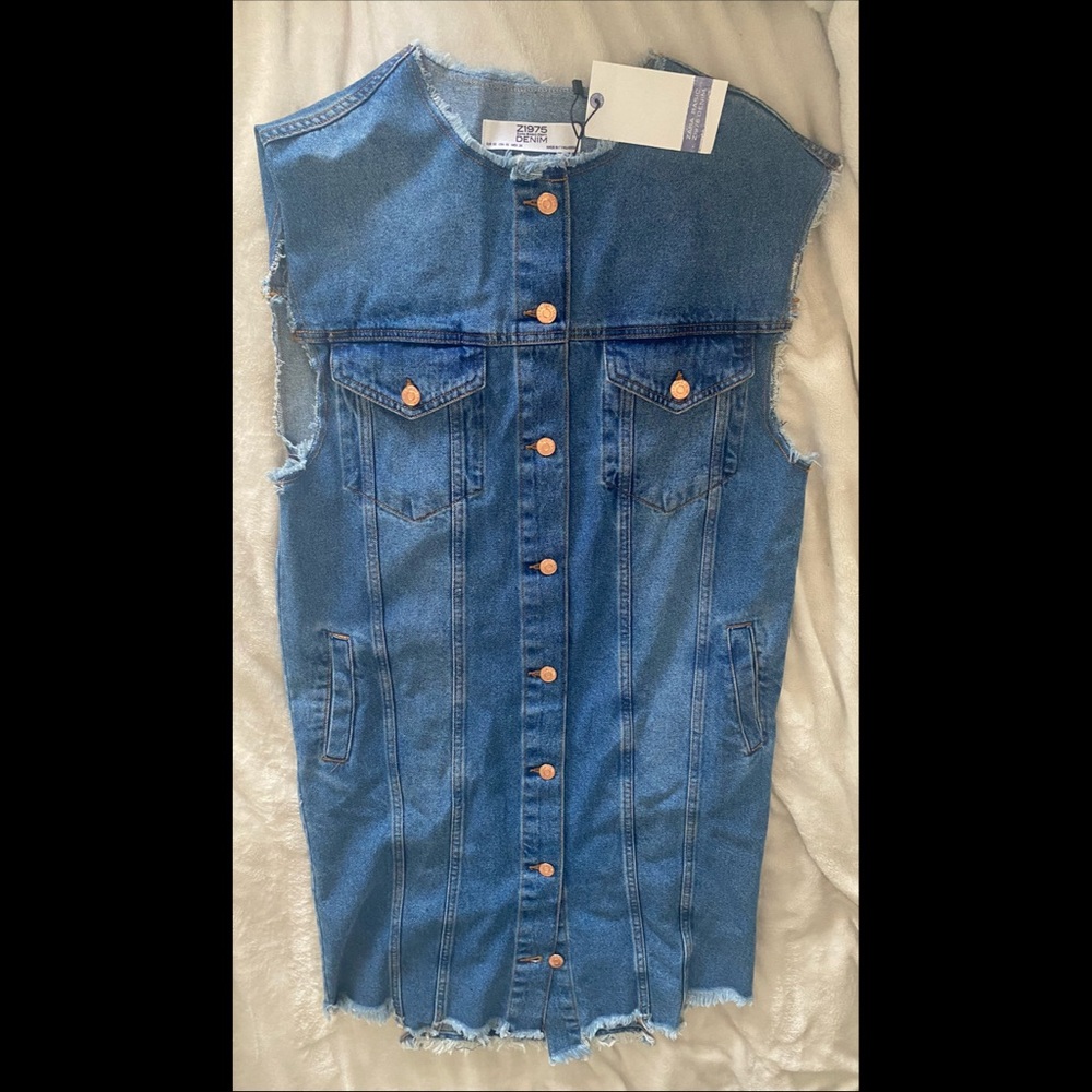 Zara Jean dress